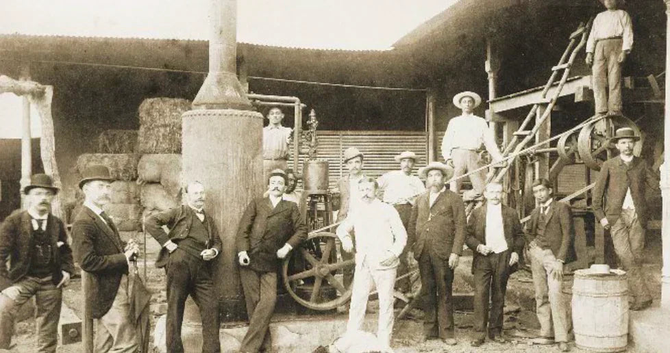 La Historia de Flor de Caña: <i>135 Años de Tradición Familiar y Sostenibilidad</i>